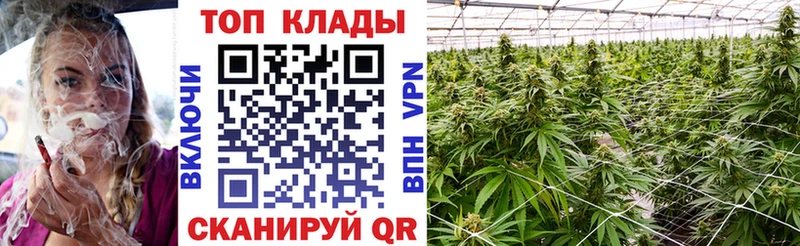 Купить наркоту Шенкурск АМФ Канабис Галлюциногенные грибы Alpha PVP ГАШ Кокаин Меф мяу мяу