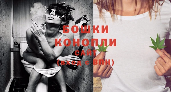 молекула духа Михайлов
