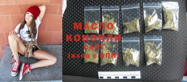 молекула духа Михайлов