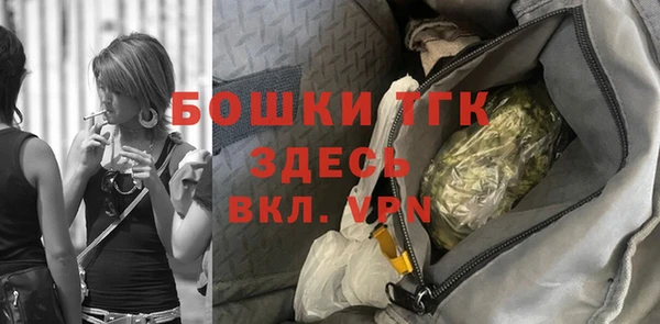 молекула духа Михайлов