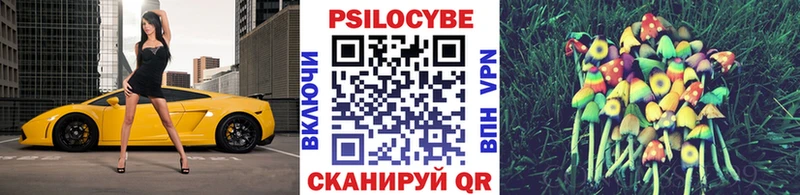 Галлюциногенные грибы GOLDEN TEACHER  Шенкурск 